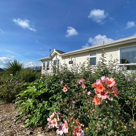 East Kitcham Lodge Launceston Extérieur photo