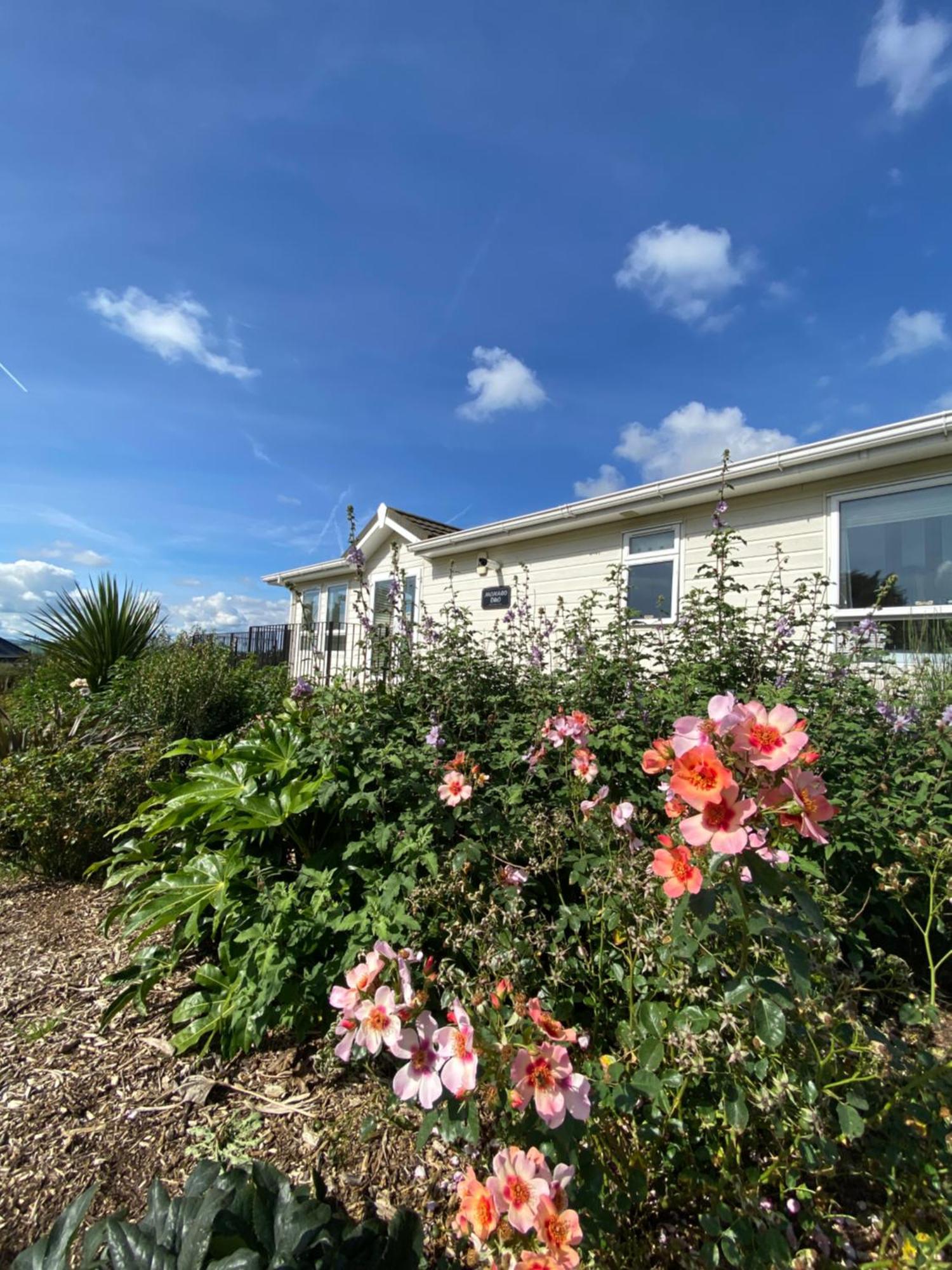 East Kitcham Lodge Launceston Extérieur photo